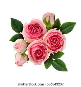 Pink rose flowers arrangement isolated on white