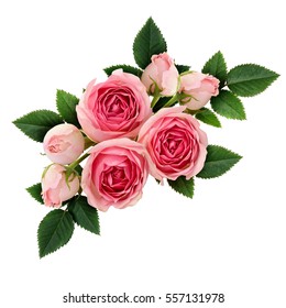 Pink Rose Flowers Arrangement Isolated On White