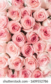 Pink rose flowers pattern background. Top view floral texture.