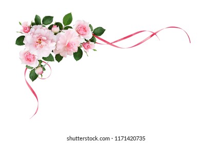 Pink rose flowers and silk waved ribbons in a corner arrangement isolated on white background