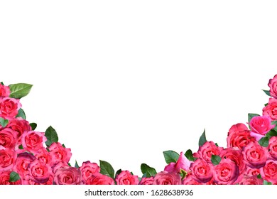 Pink Rose Frame On A White Background,isolate