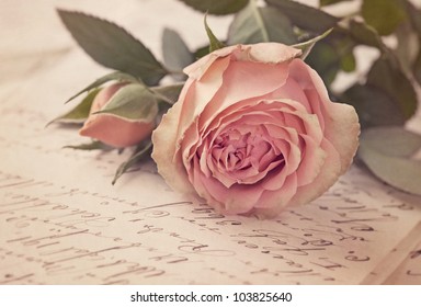 Pink rose and old letter - Powered by Shutterstock