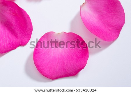 pink rose pedals on white background