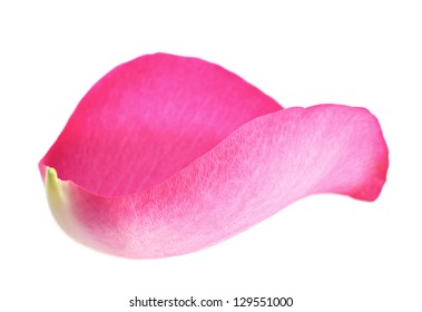 Pink Rose Petal Closeup Isolated On White