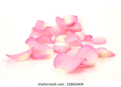 Similar Images, Stock Photos & Vectors of Petals of roses on a white