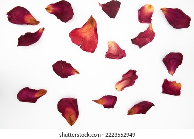 Pink rose petals dried on white background - Powered by Shutterstock