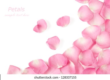 Pink Rose Petals Isolated On White Background With Sample Text