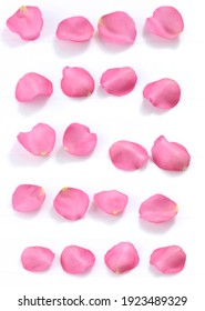 Pink Rose Petals On White Background