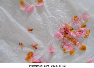 Pink Rose Petals On White Crumpled Texture Background, Copy Space. Wedding, Spa, Wellness And Women's Health Concept. Romance Pattern.