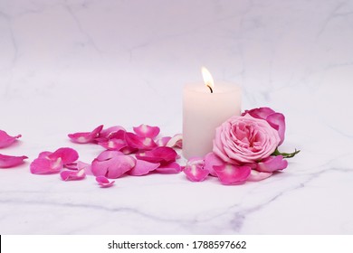 pink rose and white candle isolated in marble background