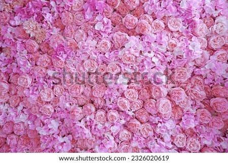 Pink Roses backdrop for wedding party and Valentine's day. Colorful flowers background and texture. 