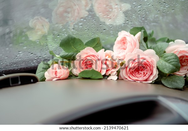 pink roses\
in the car on a background of wet\
glass