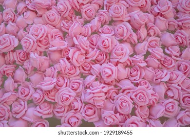 ピンク バラ 背景 の写真素材 画像 写真 Shutterstock