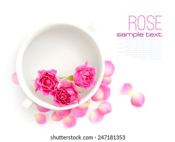 Water On Rose High Res Stock Images Shutterstock