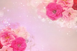 Beautiful pink rose featuring abstract, art, and background, a Nature ...