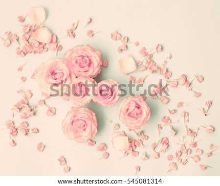 Pink Roses Over Pastel Background Stock Photo (Edit Now) 545081314