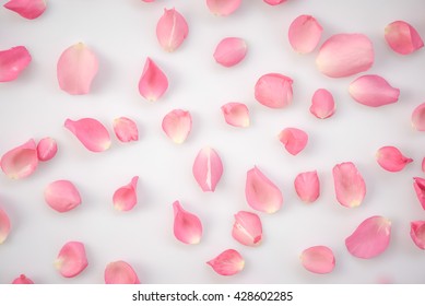 507,242 Rose petals texture Images, Stock Photos & Vectors | Shutterstock