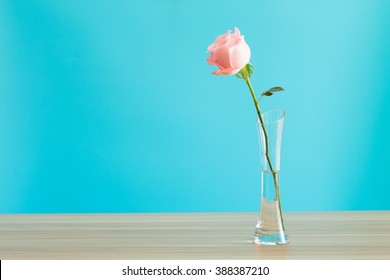 Single Flower Vase Images Stock Photos Vectors Shutterstock