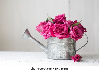 Pink Roses In A Vintage Watering Can