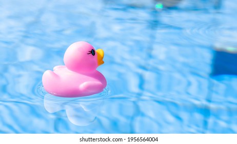 Pink Rubber Duck. Funny Kids Inflatable Toy Float In Blue Water Of Summer Pool. Funny Bird Toy For Kids.