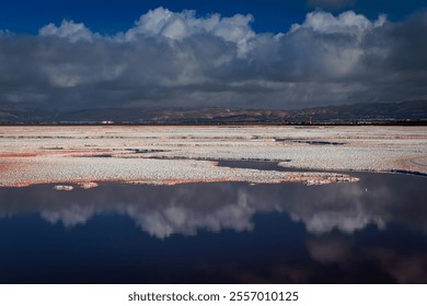 Pink salt flats at Alviso Marina County Park, San Jose, California. Vibrant hues from Dunaliella salina algae mirror the dramatic sky and clouds - Powered by Shutterstock