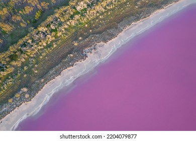 Pink Salt Lake Aerial View In Rural Australia