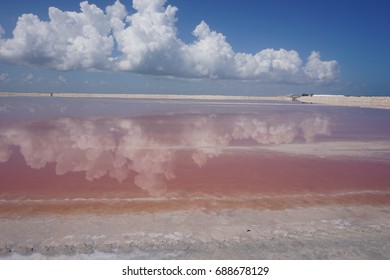 Pink Salt Lake In Mexico