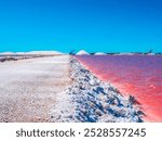 Pink salt lakes (Salins) of Aigues-Mortes, Provence