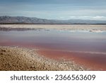 Pink salt ponds at Alviso Marina County Park, gateway to the Don Edwards San Francisco Bay National Wildlife Refuge