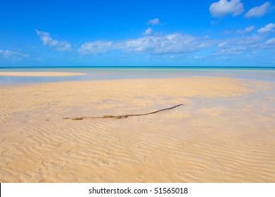 Pink Sand Beach Seen In The Caribbean Island Eleuthera, Bahamas