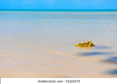 Pink Sand Beach Seen In The Caribbean Island Eleuthera, Bahamas