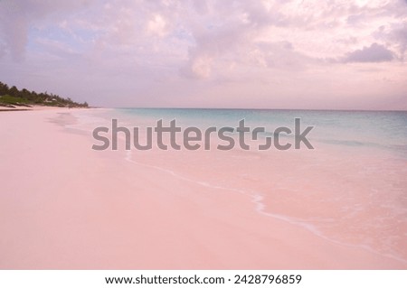 Pink sands beach, harbour island, the bahamas, west indies, central america