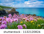 Pink sea thrift flowers on the stunningly beautiful coast in St. Ives, Cornwall, England, UK