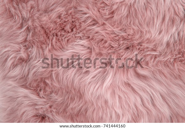 Pink sheepskin rug background. Wool texture. Close up\
sheep fur