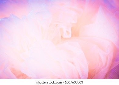 Beautiful Flower Background Hd Stock Images Shutterstock