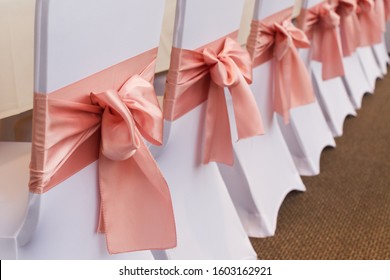 Pink Sash Images Stock Photos Vectors Shutterstock