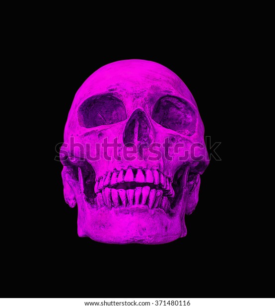 Pink Skull On Isolated Black Background Stock Photo Edit