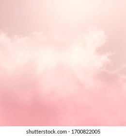 Ciel Rose Images Stock Photos Vectors Shutterstock