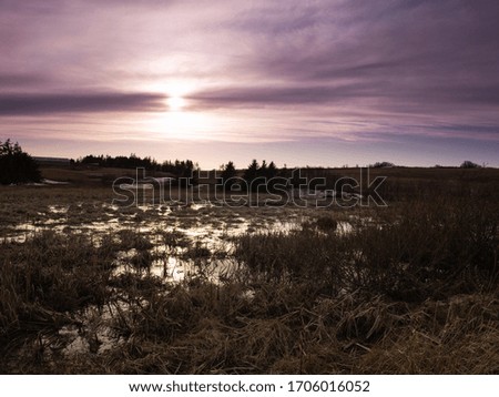Pink sky at sunset over spring flooded fresh water wetlands