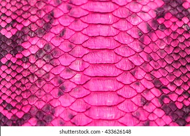 Pink Snakeskin.