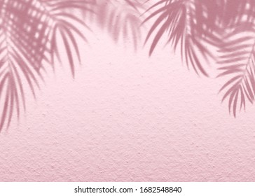 Pink soft cement texture wall leaf plant shadow background. Summer tropical travel beach with minimal concept. Flat lay pastel color palm nature. Stock Photo