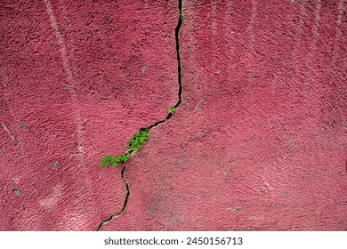 Pink stained concrete wall with large crack that has a small green plant growing out of it. Background and wallpaper texture. - Powered by Shutterstock