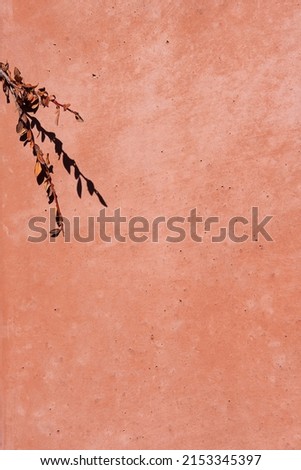 Pink stone wall texture blurred background. Beautiful, peachy, sunny backdrop with plant branch and shadow. Dry flower on hot summer day. Monochrome, minimal. Selective focus, vertical, copy space