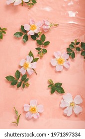 Pink Sunlit Wild Rose Flowers In Full Bloom Float In The Water In The Pastel Orange Pool. Holistic Lifestyle And Wellness Concept. Minimal Luxury Natural Spa Spring And Summer Flat Lay Background.