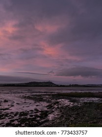 The Pink Sunset