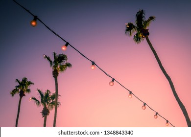 Pink Sunset Behind String Lights and Palm Trees at a Party in Palm Springs