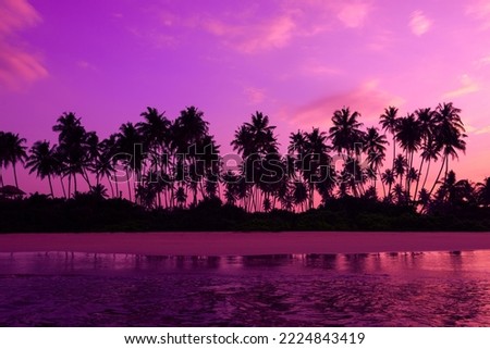 Pink sunset on tropical ocean beach with coconut palm trees silhouettes