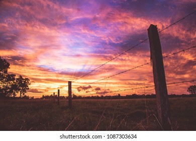 Pink Sunset Over A Timber Barbed Wire Fence Landscape In Outback Queensland, Australia.