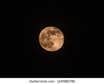 Pink Supermoon Over Black Sky 2020