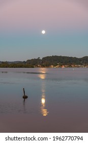 The Pink Supermoon Sunset Waterscape, 99% Full Moon Rising In Woy Woy, NSW, Australia.